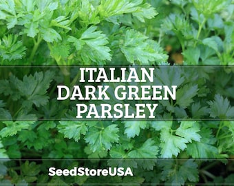 Italian Dark Green Parsley Seeds | Heirloom - Non-GMO | Petroselinum Crispum | Herb Seeds | Seed Store | 1135