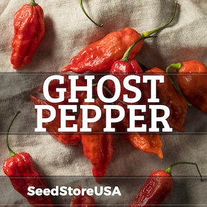 May include: Bright red ghost peppers with green stems are scattered across a neutral-toned fabric. The image features the text "GHOST PEPPER" in large white letters, with "SeedStoreUSA" below. The peppers have a wrinkled texture.