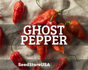 Semillas de pimiento fantasma (Bhut Jolokia) / Heirloom - Sin OMG / Capsicum Chinense / Semillas de hortalizas / Tienda de semillas / 1008