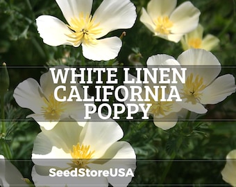 White Linen California Poppy Seeds | Eschscholzia Californica | Non-GMO | Flower Seeds | Seed Store | 1228