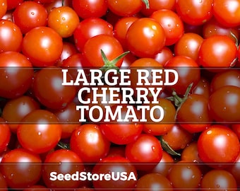 Cherry (Large Red) Tomato Seeds | Heirloom - Non-GMO | Solanum Lycopersicum | Vegetable Seeds | Seed Store | 1025