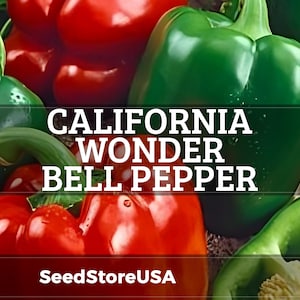 May include: Close-up of vibrant red and green California Wonder bell peppers. The image features the text "CALIFORNIA WONDER BELL PEPPER" and the SeedStoreUSA logo. These fresh vegetables are perfect for home gardens.