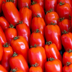 San Marzano (Indeterminate) Tomato Seeds | Heirloom - Non-GMO | Solanum Lycopersicum | Vegetable Seeds | Seed Store | 1023
