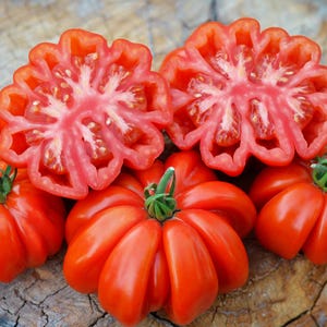 May include: A collection of bright red, deeply ribbed heirloom tomatoes, including several whole fruits with green stems and two halves displaying the intricate, multi-chambered interior structure with visible seeds and juicy, vibrant red flesh.