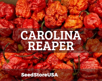 Carolina Reaper Pepper Seeds | Heirloom - Non-GMO | Capsicum Chinense | Vegetable Seeds | Seed Store | 1013