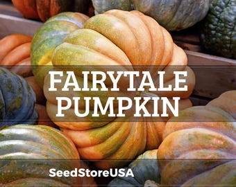 Fairytale Pumpkin Seeds | 15-30+ Pounds | French Heirloom / Non-GMO | Cucurbita Pepo | 1079