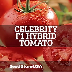 May include: Close-up of ripe red Celebrity F1 Hybrid tomatoes, one whole and one sliced open, showcasing the juicy interior. The image includes the text "Celebrity F1 Hybrid Tomato" and the SeedStoreUSA logo.
