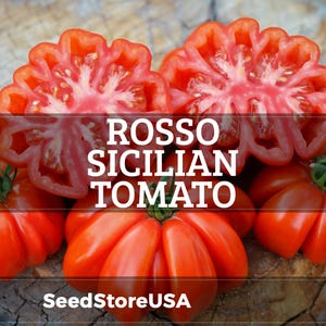 May include: Several bright red, deeply ribbed Rosso Sicilian tomatoes, with some shown whole and others sliced in half to reveal the interior flesh and seeds. The text ROSSO SICILIAN TOMATO and SeedStoreUSA is overlaid on the image.