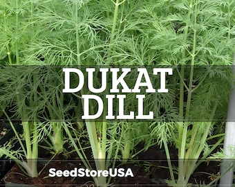 May include: Close-up of fresh green dill plants, with the text "DUKAT DILL" in white block letters. The dill is growing in dark soil, with the text "SeedStoreUSA" at the bottom.