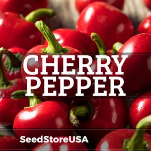 May include: A close-up of bright red cherry peppers with green stems. The text "CHERRY PEPPER" is overlaid on the image in white, with "SeedStoreUSA" at the bottom. The peppers are clustered together.
