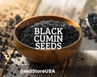 Black Cumin Seeds | Heirloom - Non-GMO | Nigella Sativa | Herb Seeds | Seed Store | 1148