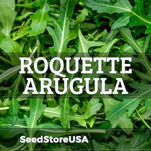 May include: Close-up of fresh arugula leaves, a leafy green vegetable. The image features the text "ROQUETTE AR&Uacute;GULA" in white, with "SeedStoreUSA" at the bottom. The leaves are a vibrant green, showcasing their texture and shape.