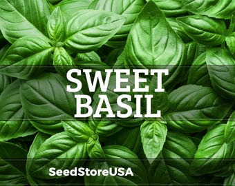 Sweet Basil Seeds | Heirloom - Non-GMO | Ocimum Basilicum | Herb Seeds | Seed Store | 1130