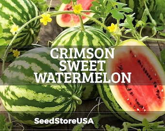 Crimson Sweet Watermelon Seeds | Heirloom - Non-GMO | Citrullus Lanatus | Vegetable Seeds | Seed Store | 1044