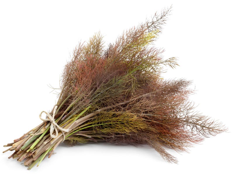 Bronze Fennel Seeds