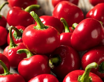 Large Red Cherry Pepper Seeds (Mild Heat) | Heirloom - Non-GMO | Capsicum Annuum | Vegetable Seeds | 1009