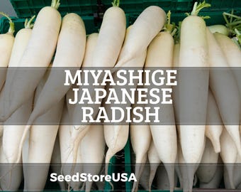 May include: A close-up of a pile of Miyashige Japanese radishes. The radishes are white with green tops and are displayed in a green crate. The text "MIYASHIGE JAPANESE RADISH" is overlaid on the image, along with the text "SeedStoreUSA".