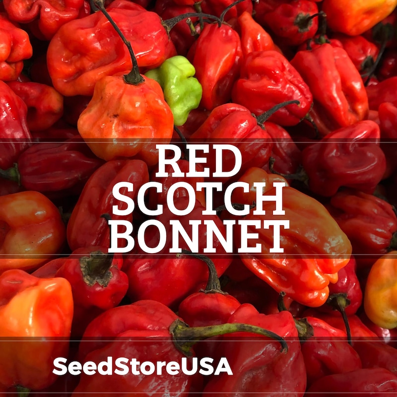 Bonnet Pepper Seeds