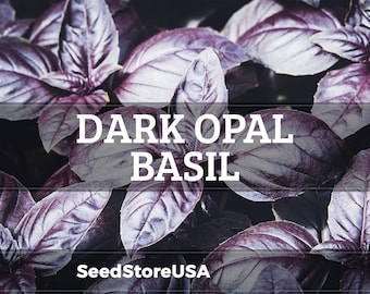 May include: Close-up of dark purple Dark Opal Basil leaves. The image features the text "DARK OPAL BASIL" in white, with "SeedStoreUSA" at the bottom. The leaves are a deep purple color, with visible veins and a textured surface.