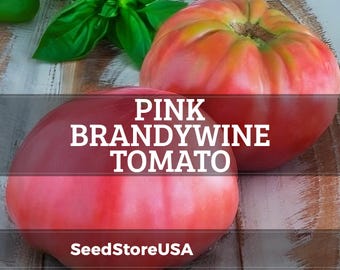 Pink Brandywine Tomato Seeds | Heirloom - Non-GMO | Solanum Lycopersicum | Vegetable Seeds | Seed Store | 1032