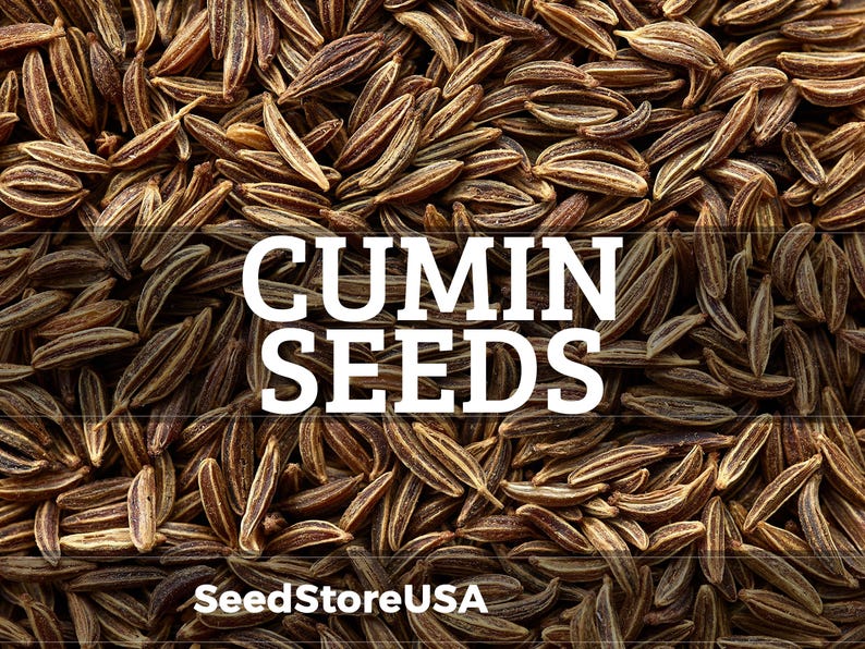 Cumin Seeds | Heirloom - Non-gmo | Cuminum Cyminum | Herb Seeds | Seed ...