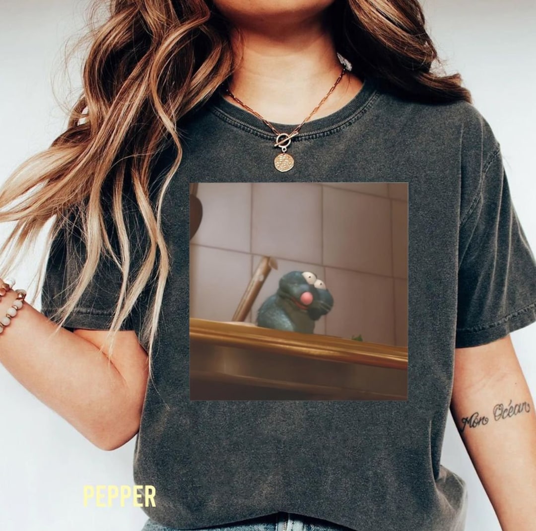 Disney Ratatouille Remy Shirt, Funny Sick Remy Tshirt, Pixar Ratatouille Tee, Disneyland Family Trip, Wdw Magic Kingdom, Birthday Gift