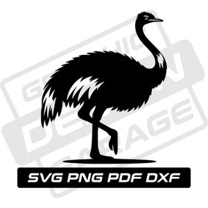 Ostrich svg - pdf - png - dxf - ostrich silhouette - commercial use - emu - ostrich walking - clip art - instant download - bird - wildlife