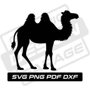 Cammello in formato svg, pdf, png, dxf, animale del deserto, silhouette di cammello, uso commerciale, fauna selvatica, gobbe di cammello, clip art, download istantaneo