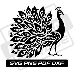 Peacock svg - pdf - png - dxf - peacock silhouette - commercial use - exotic bird - animal - clip art - instant download - bird - wildlife
