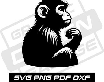 Monkey svg - pdf - png - dxf - baby monkey - monkey silhouette - commercial use - ape - zoo animal - clip art - instant download - wildlife