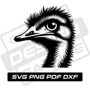 Ostrich svg - pdf - png - dxf - ostrich silhouette - commercial use - emu - ostrich head - clip art - instant download - bird - ostrich face