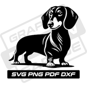 Dackel Silhouette - Hund svg - pdf - png - dxf - kommerzielle Nutzung - Clip Art - Sofort Download - Doxie - Dackel