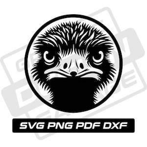 Ostrich svg - pdf - png - dxf - ostrich silhouette - commercial use - emu - ostrich head - clip art - instant download - bird - ostrich face