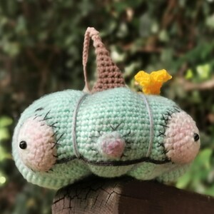 Puede incluir: Una calabaza de crochet con un cuerpo verde claro, mejillas rosadas, ojos negros y un tallo marrón. La calabaza tiene una flor amarilla de crochet en la parte superior.