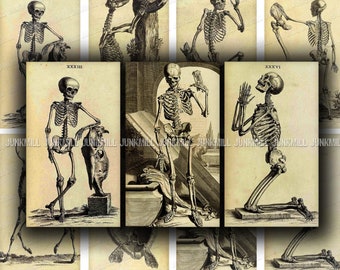 SKELETONS - Digital Printable Collage Sheet - Vintage Skeleton Illustrations, Antique Human Anatomy, Animal Skeletons, Halloween Images