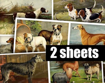 DOG BREEDS - Digital Printable Collage Sheet - Antique Dog Illustrations, Lithographic Dog Images, Hunting Dogs, Pugs, Digital Images, ATC