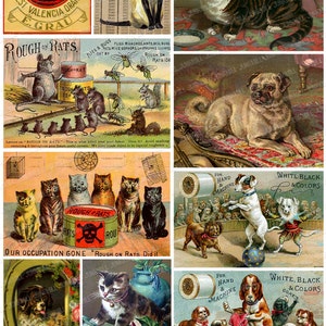 CANI E GATTI - Foglio di collage stampabile digitale - Cani e gatti del circo da cartoline commerciali vittoriane e cartoline d'epoca, download immediato