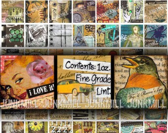 IMAGINE - Digital Printable Collage Sheet - Grunge Steampunk Sampler, Anatomy, Occult, Pin-Ups, 1" Square or Scrabble Tile, Instant Download