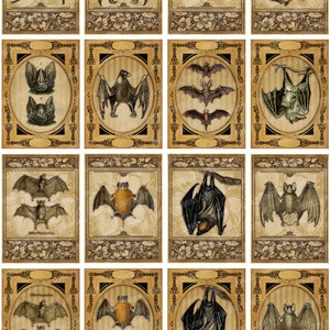 VICTORIAN BATS Digital Printable Collage Sheet Antique Vampire Bat ...