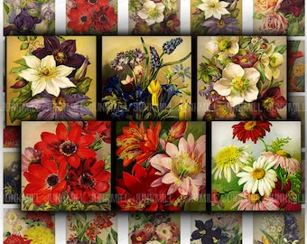 FLORAL LITHOGRAPHS - Digital Printable Collage Sheet - 1" Squares, 25 mm - Vintage Botanicals, Shabby Cottage Chic Flowers, Digital Download