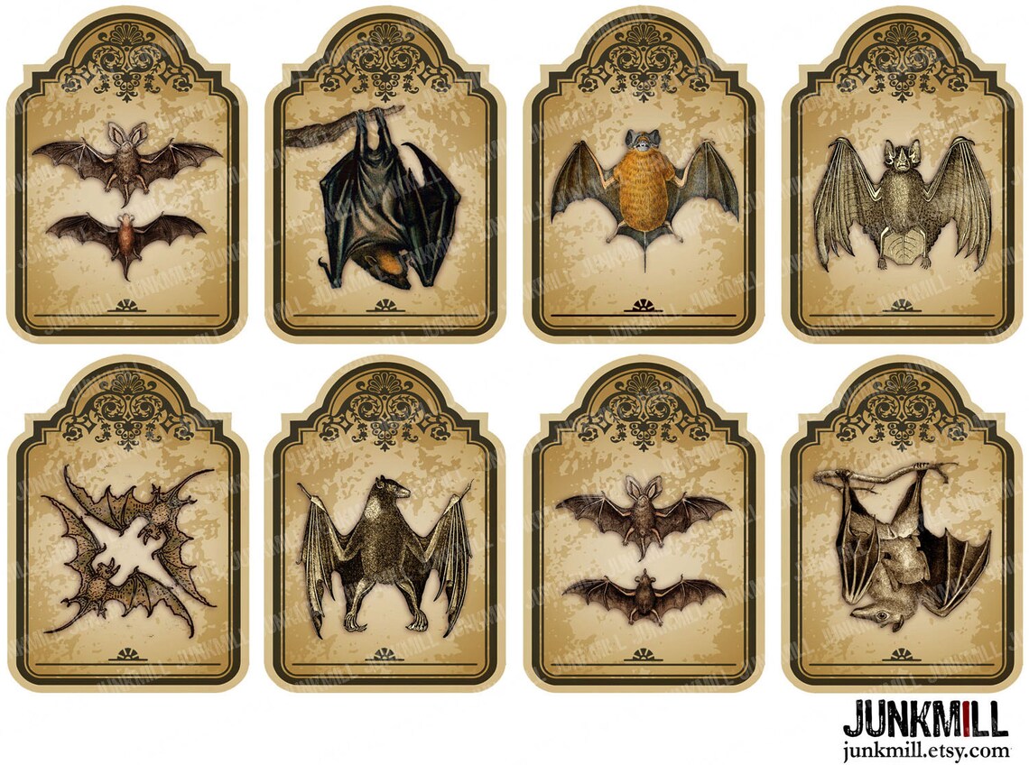 VICTORIAN BATS - Digital Printable Collage Sheet - Vintage Vampire Bat ...