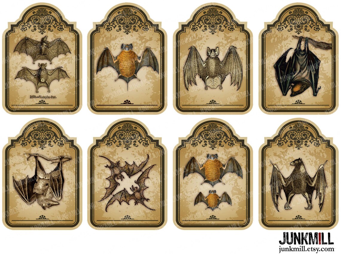 VICTORIAN BATS - Digital Printable Collage Sheet - Vintage Vampire Bat ...