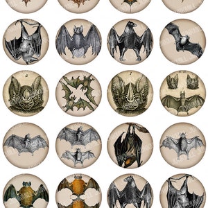 BATS - Digital Printable Collage Sheet - 1