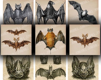 BATS - Digital Printable Collage Sheet - 2" Squares, 50 mm Round - Vintage Vampire Bats, Antique Halloween Images, Dracula, Digital Download