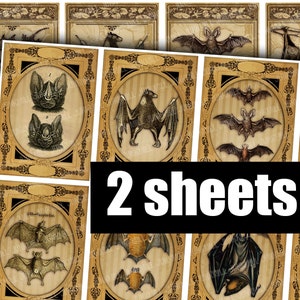 May include: Two sheets of printable digital paper featuring vintage illustrations of bats in ornate frames. The paper is perfect for scrapbooking, card making, and other paper crafts.