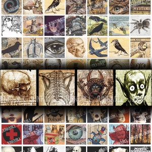 May include: A digital collage of vintage Halloween images, including skulls, skeletons, bats, spiders, and other spooky imagery. The images are arranged in a grid pattern and have a dark, gothic aesthetic.