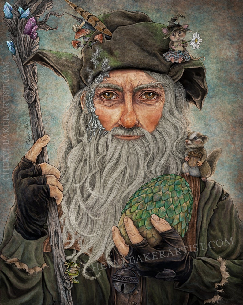 Radagast Teaches at a Magical School Wizard Wizarding House Macabre Art Macabre Decor Hobbit Art Wizard Decor Wizard Art Gift image 1