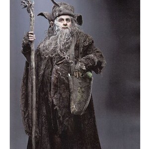 Radagast Teaches at a Magical School Wizard Wizarding House Macabre Art Macabre Decor Hobbit Art Wizard Decor Wizard Art Gift image 2