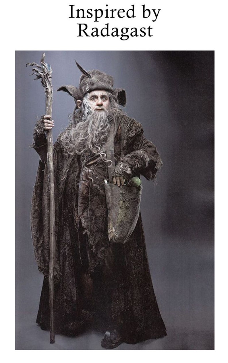 Radagast Teaches at a Magical School Wizard Wizarding House Macabre Art Macabre Decor Hobbit Art Wizard Decor Wizard Art Gift image 2