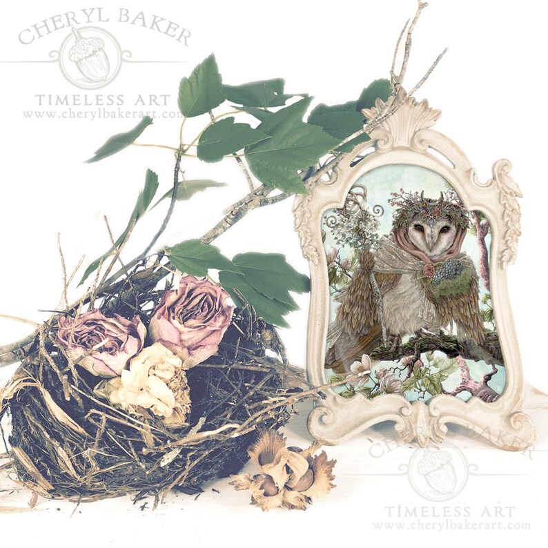 Owl Decor Owl Art Barn Owl Owl Wall Art Cottage Decor Etsy